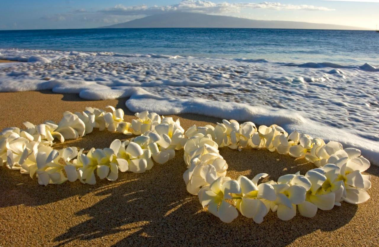 Appartamento Beautiful Mountain View In Waikiki Sunset With Parking Honolulu Esterno foto